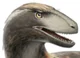 dum dromaeosaur