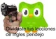 duolingo 