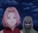 Sakura n Shino