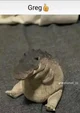Greg