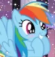 Rainbow dash 