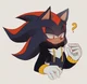 Shadow The Hedgehog