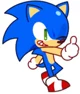 cookie sonic