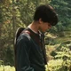 Edmund Pevensie