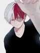 Shoto Todoroki 
