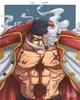 Whitebeard Husband