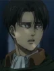 Levi Ackerman 