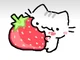 Strawberry cat