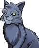 Graystripe