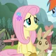 Fluttershy