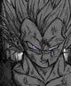 Vegita