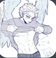 Hawks
