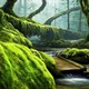 Bridge to Terabithia