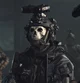 Simon Ghost Riley