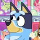 Bluey Heeler 