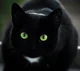 Ravenpaw