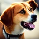 Dog simulator