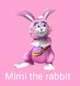Mimi the rabbit