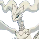Reshiram