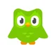 Duolingo Bird
