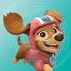 liberty paw patrol