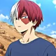 Shoto Todoroki 