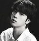 Seokjin 