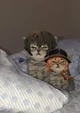 Dazai and Chuuya 