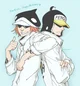 Penguin an Shachi