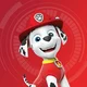 marshall paw patrol