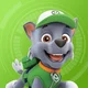 rocky paw patrol