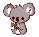 small cute koala