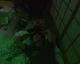 yuichi hasumi