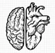 Brain and heart
