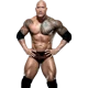 The Rock