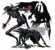 The Shadow Elements