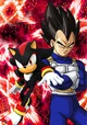 Vegeta and Shadow