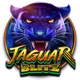 Jaguar blitz