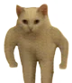 Buff Cat