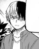 Shoto Todoroki 