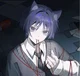Cat Scara