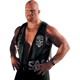 Steve Austin