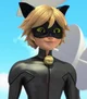 Chat Noir