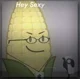 Steve Cobs
