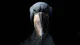 Shoebill