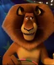 Alex_The_Lion