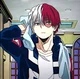 Shoto Todoroki