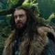 Thorin Oakenshield