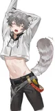 Raccoon Boy