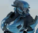 Female Sangheili 